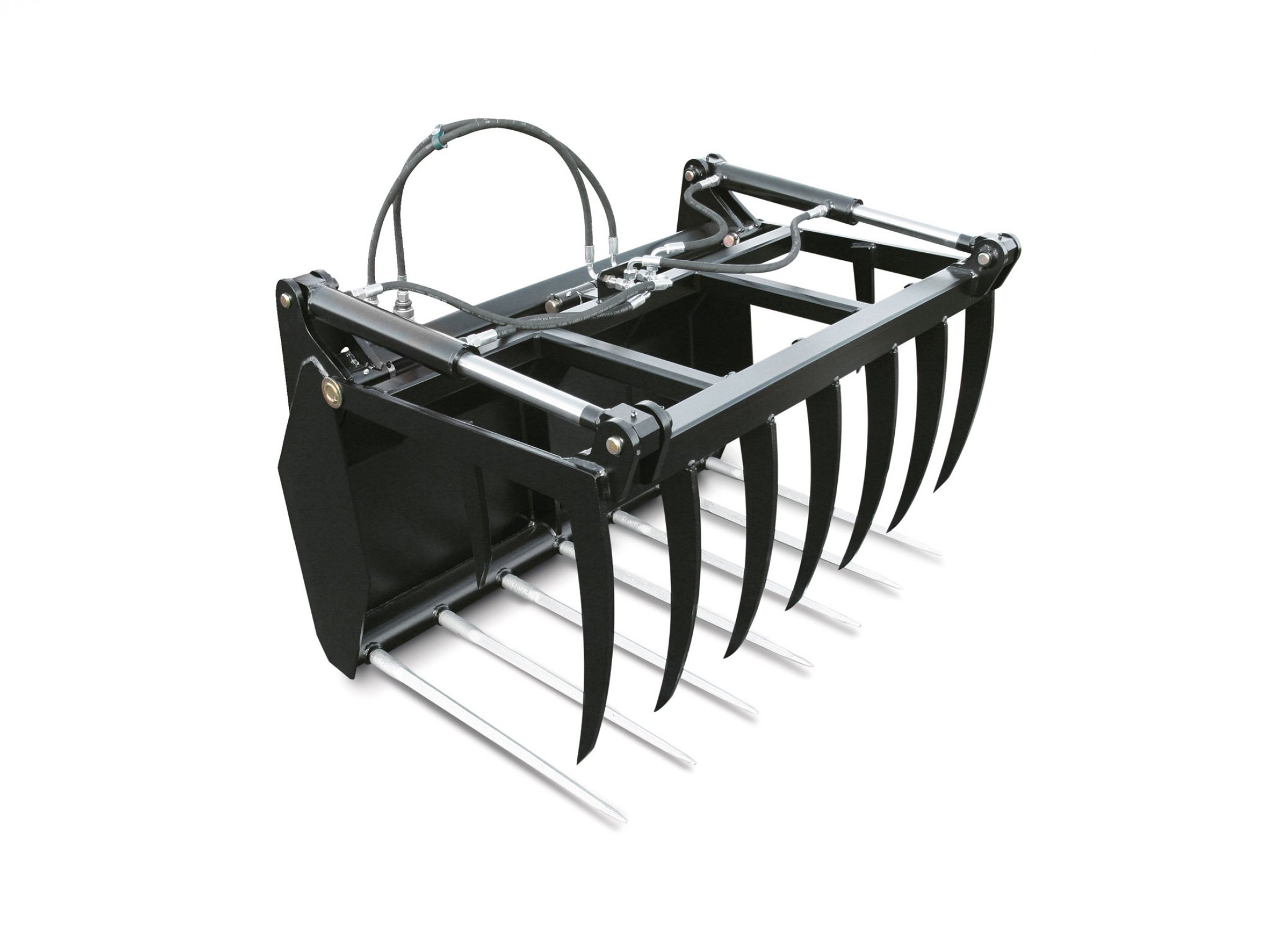 Schäffer Krokodilgebiss